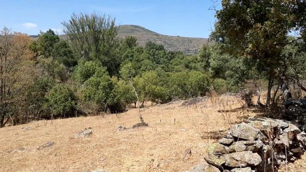 Terreno en Poligo 10, 72 Parcela