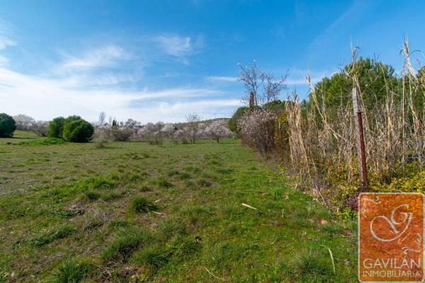 Terreno en calle de la Alondra