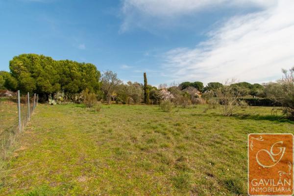 Terreno en calle de la Alondra