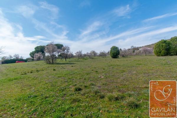 Terreno en calle de la Alondra