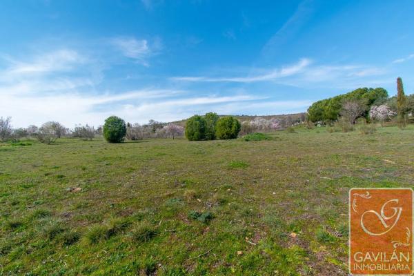 Terreno en calle de la Alondra