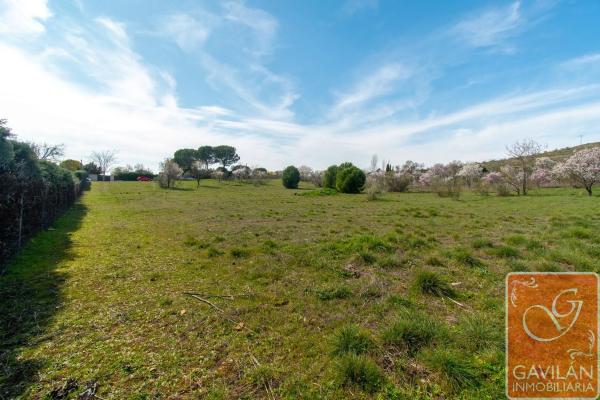Terreno en calle de la Alondra