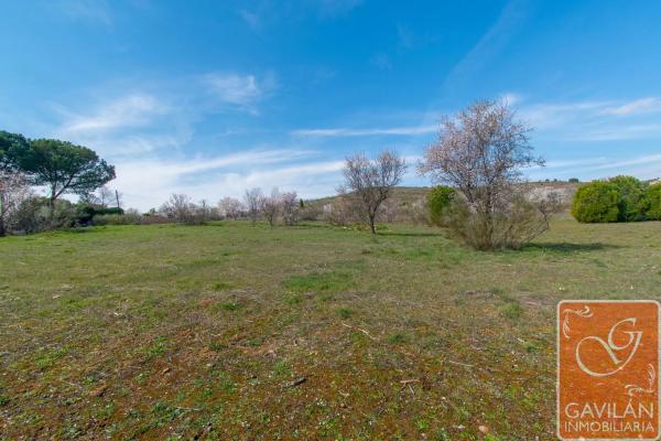 Terreno en calle de la Alondra
