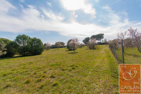Terreno en calle de la Alondra