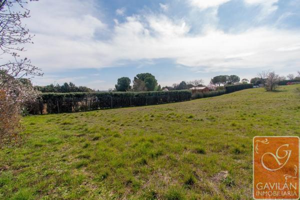Terreno en calle de la Alondra