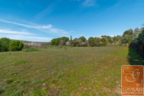 Terreno en calle de la Alondra