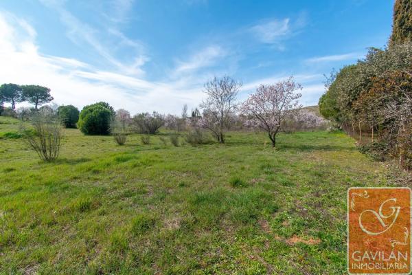Terreno en calle de la Alondra