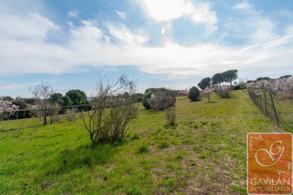 Terreno en calle de la Alondra