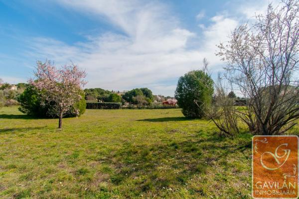 Terreno en calle de la Alondra
