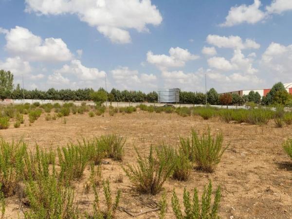 Terreno en carretera de Ajalvir