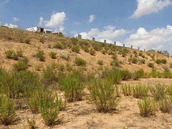 Terreno en carretera de Ajalvir
