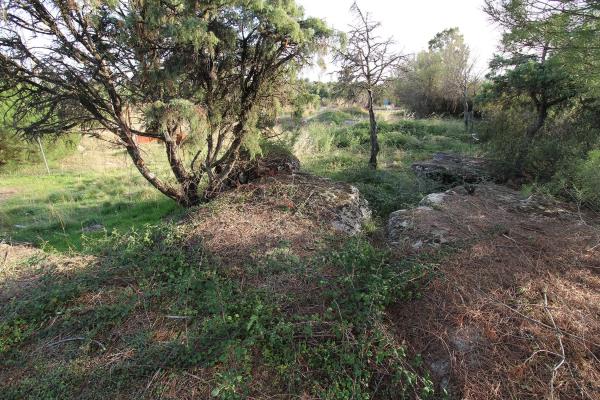 Terreno en El Berrueco
