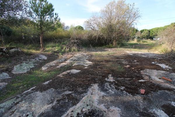 Terreno en El Berrueco