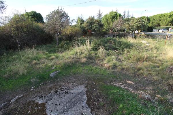 Terreno en El Berrueco