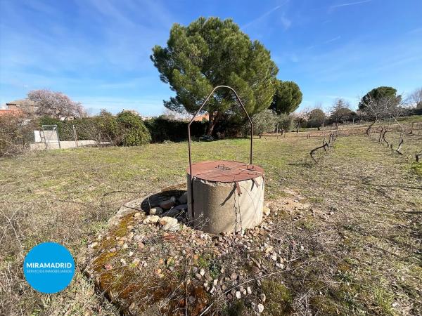 Terreno en calle del Galgo