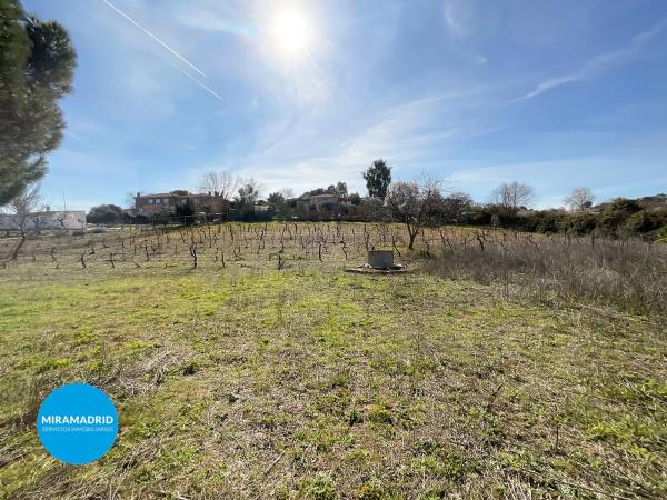 Terreno en calle del Galgo