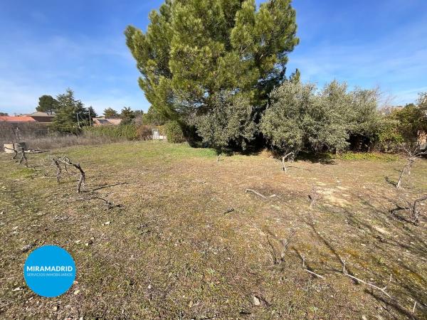Terreno en calle del Galgo