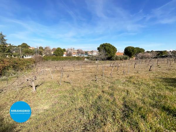 Terreno en calle del Galgo