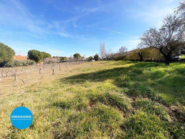 Terreno en calle del Galgo