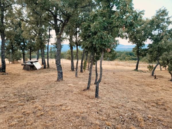 Terreno en calle el Tercio de la laguna, 22