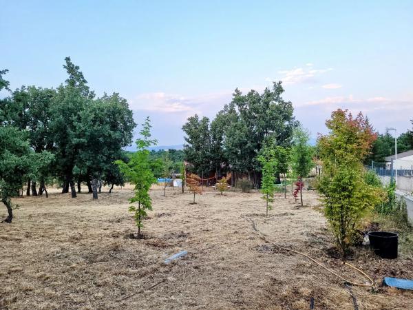 Terreno en calle el Tercio de la laguna, 22