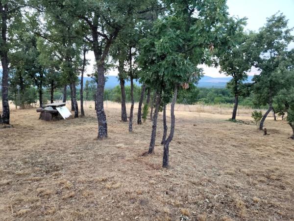 Terreno en calle el Tercio de la laguna, 22