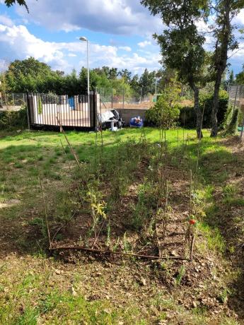 Terreno en calle el Tercio de la laguna, 22