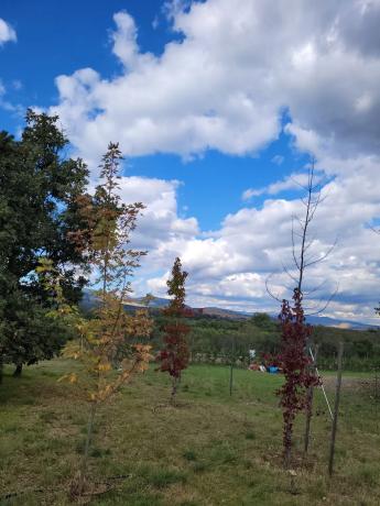 Terreno en calle el Tercio de la laguna, 22