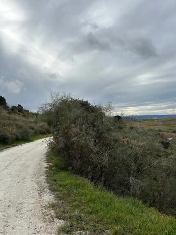 Terreno en Urbanización El Frontal (Parcela 3bis), 3 bis
