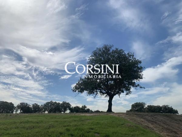 Terreno en paseo Cerro del Toro