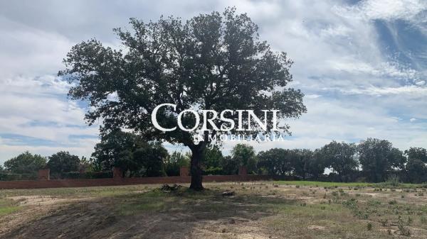 Terreno en paseo Cerro del Toro