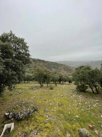 Terreno en Cotos de Monterrey