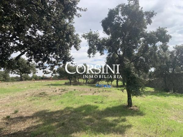 Terreno en paseo Cerro del Toro