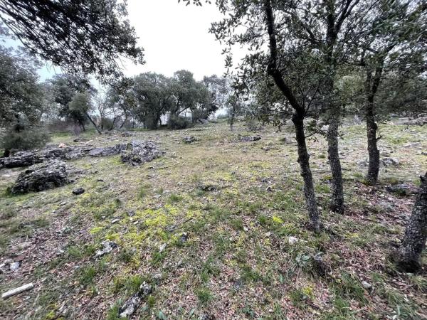 Terreno en Cotos de Monterrey