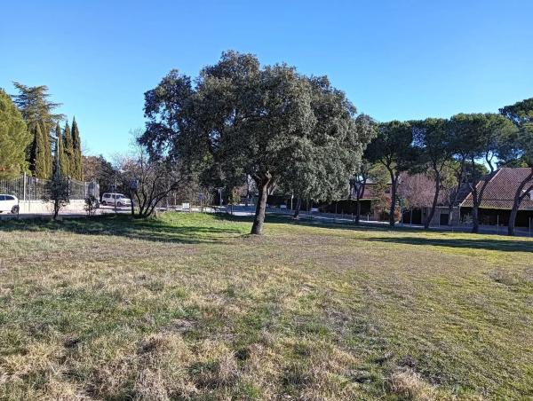 Terreno en La Moraleja urbanización