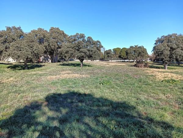 Terreno en La Moraleja urbanización
