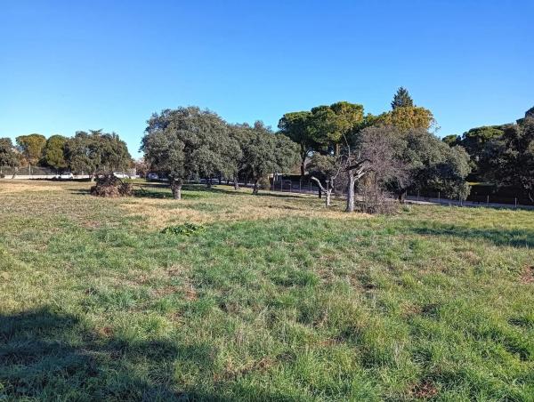 Terreno en La Moraleja urbanización