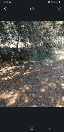 Terreno en camino de Pedrezuela, km 1