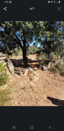Terreno en camino de Pedrezuela, km 1