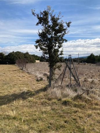 Terreno en Urbanizacion Las Chaparritas, 43 Finca