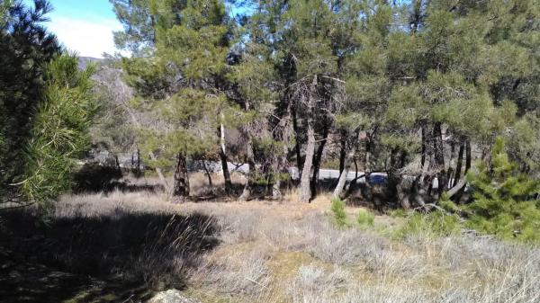 Terreno en M-132, 10 Carreteranalaentradadelpueblo