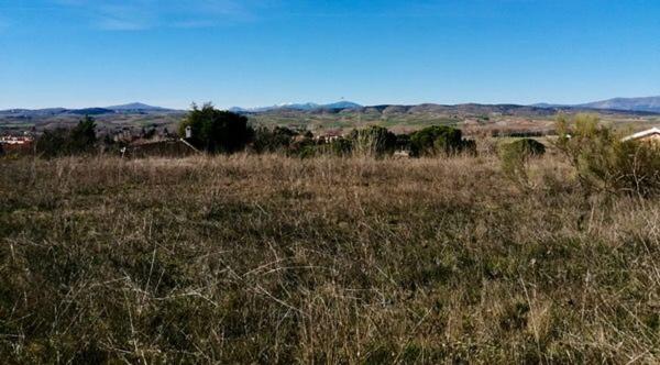 Terreno en Poligono Plrustica4, 16