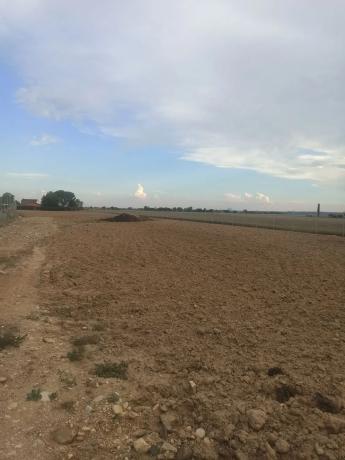 Terreno en El Camino de Agudin, 119