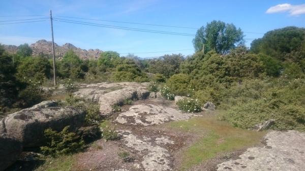 Terreno en carretera Berrueco-la Cabrera, 14 n