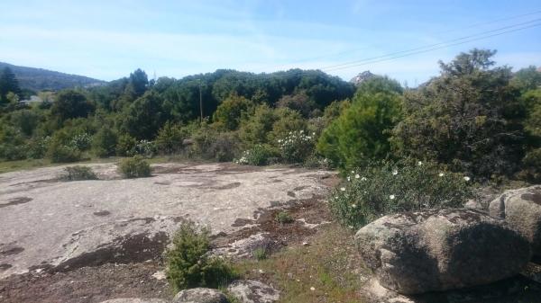 Terreno en carretera Berrueco-la Cabrera, 14 n