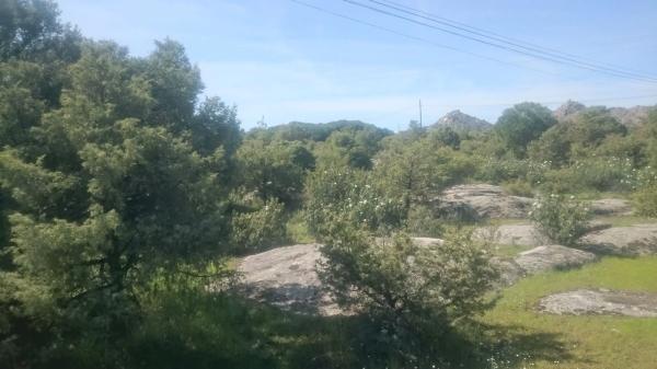 Terreno en carretera Berrueco-la Cabrera, 14 n