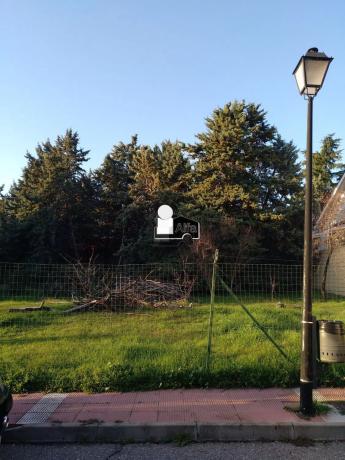 Terreno en calle Gladiolo