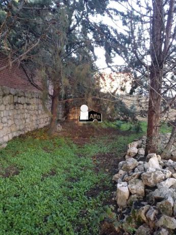 Terreno en calle Gladiolo