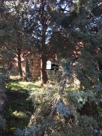 Terreno en calle Gladiolo