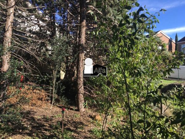 Terreno en calle Gladiolo